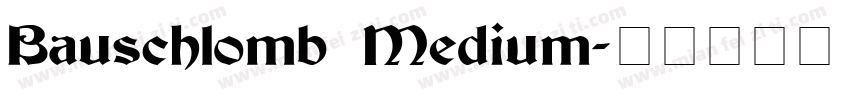 Bauschlomb Medium字体转换
